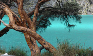Laguna de Llanganuco